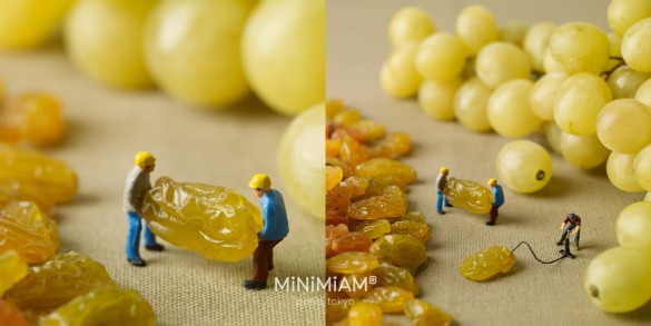 gonfleurs de raisin. Inflaters. 2016