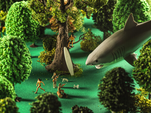 La croix requin 2023