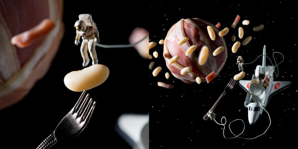 Mogette de l&rsquo;espace. 2024