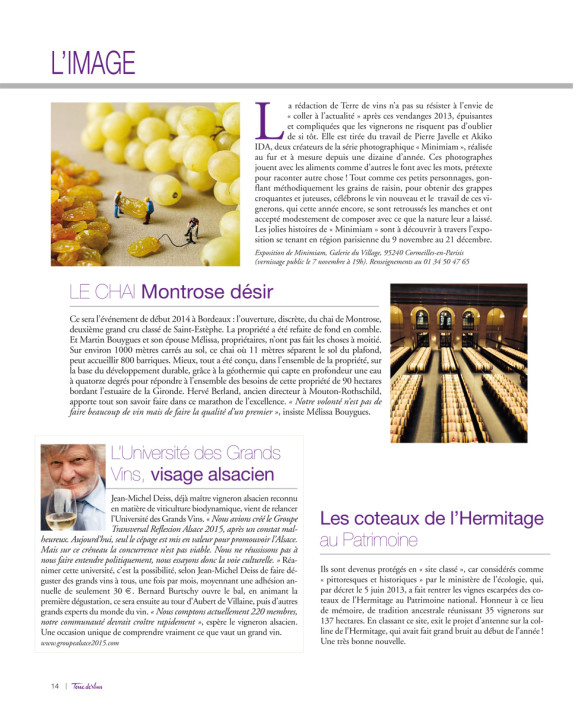 Minimiam - TerreDeVin_Page-site